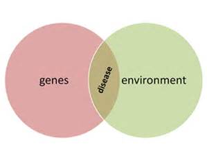 environment genes